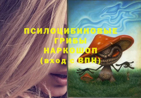 молекула духа Алзамай