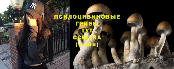 молекула духа Алзамай
