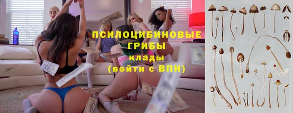 молекула духа Алзамай